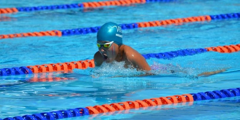 arena swimming goggles price