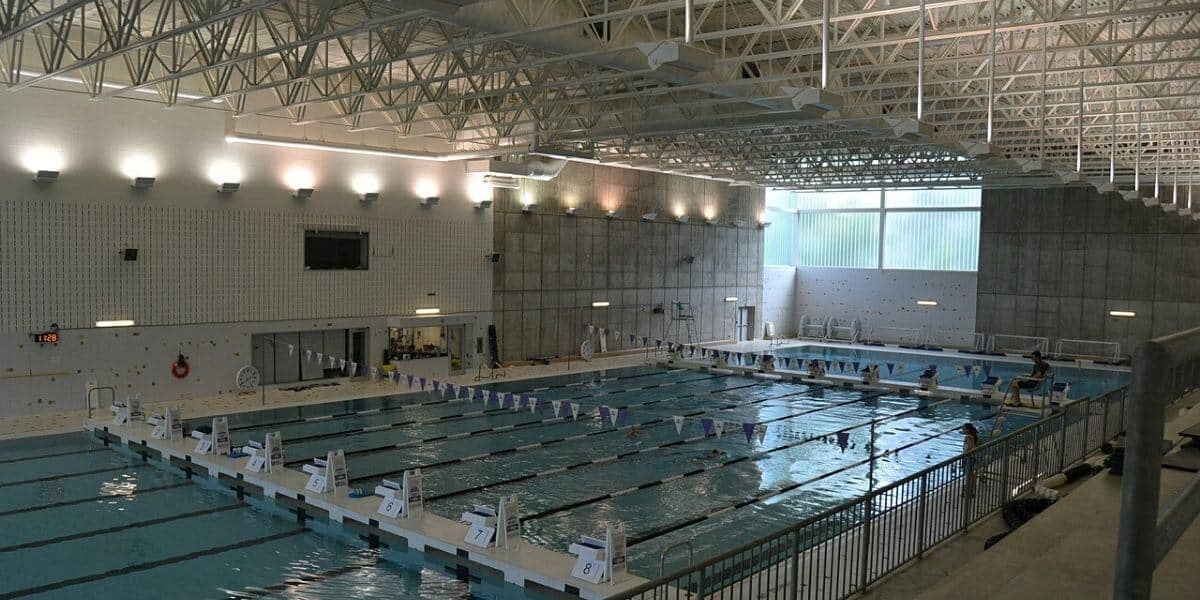 Swimming Vs Gym
