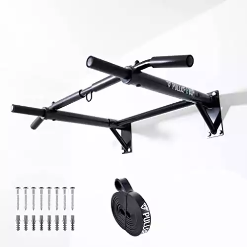 Wall Mounted Pull Up Bar