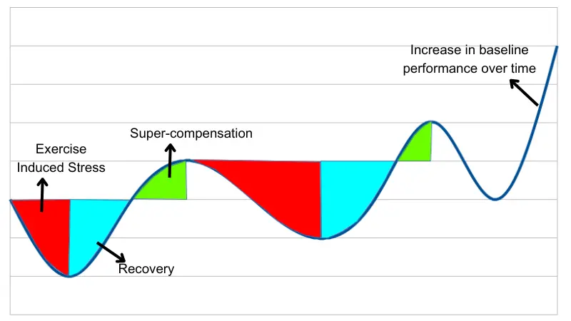 Super-compensation sports science concept