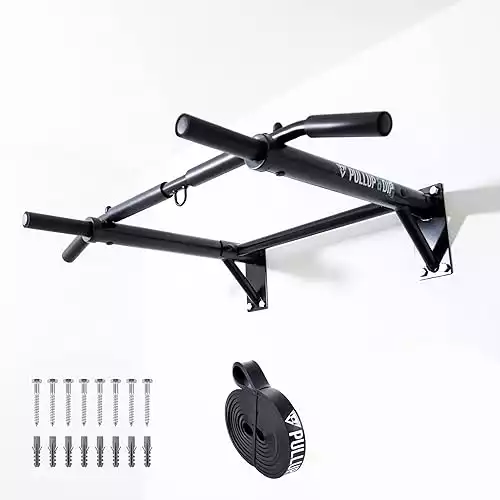 Wall Mounted Pull Up Bar
